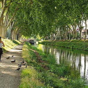 https://studio-cosy-et-calme-hypercentre.midi-pyreneeshotels.com